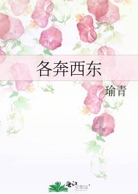 马桶怎么通厕所堵了？游戏画面